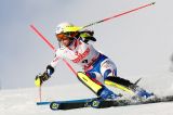 Nessuna sorpresa in casa Francia: Forni e Noens, al rientro in CdM, per i due slalom di Levi