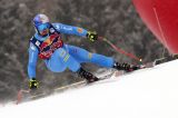 Paris all'assalto della Streif col numero 5: la startlist della prima discesa di Kitz, apre Franz