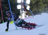 Tornano Lorenzi e Sola, sono sette le azzurre per la notturna di Flachau con Peterlini per la prima qualificazione