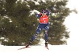 Biathlon