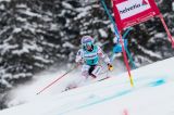 Francia e Svezia per Soelden: transalpini con Worley, Pinturault e Faivre (torna Direz), speranza scandinava con Hector