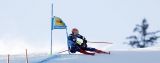 Secondo gigante di Adelboden con tante assenze; Zubcic col n° 5, poi Pinturault e Kristoffersen