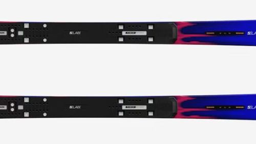 Salomon s lab equipe