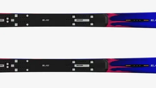 Salomon s lab equipe