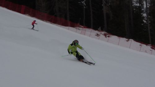 Nordica dobermann multigara dept marco bigon1