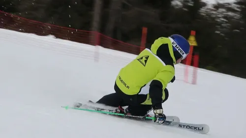 Stokli laser wrt pro alessandro carli