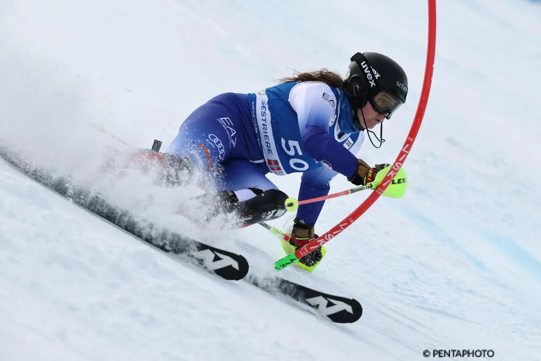 foto haller
