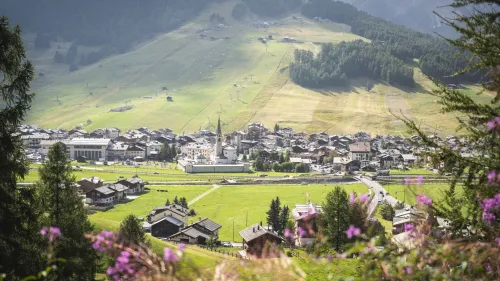 DDL Montagna, le principali agevolazioni fiscali in pillole