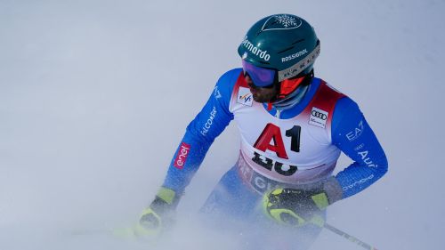 due pett rossi alice