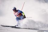 A Kranjska Gora la conferma delle gare tecniche maschili dell'1-2 marzo, sperando di evitare il disastro del 2024...