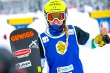 Snowboard