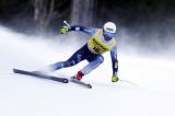 La startlist del secondo training (accorciato)sul Lauberhorn: alle 12.30 di mercoledì in pista a Wengen, Schieder primo azzurro