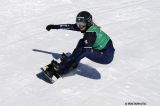 Snowboard