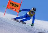 Fede ad un decimo dal sogno: Brignone argento nel super-g d'oro di Stephanie Venier e dell'Austria