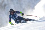 Michelle Gisin rinuncia a Semmering, debutta Darbellay. Svezia con Hector da leader per il gigante di sabato