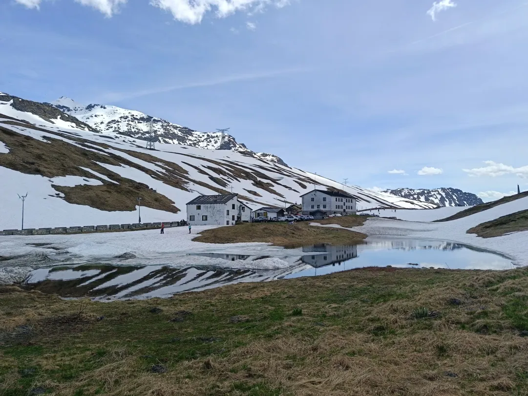 Studio dell’Università di Torino: piste da sci e biodiversità, una risorsa inattesa per gli uccelli alpini