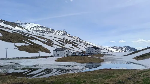 Studio dell’Università di Torino: piste da sci e biodiversità, una risorsa inattesa per gli uccelli alpini