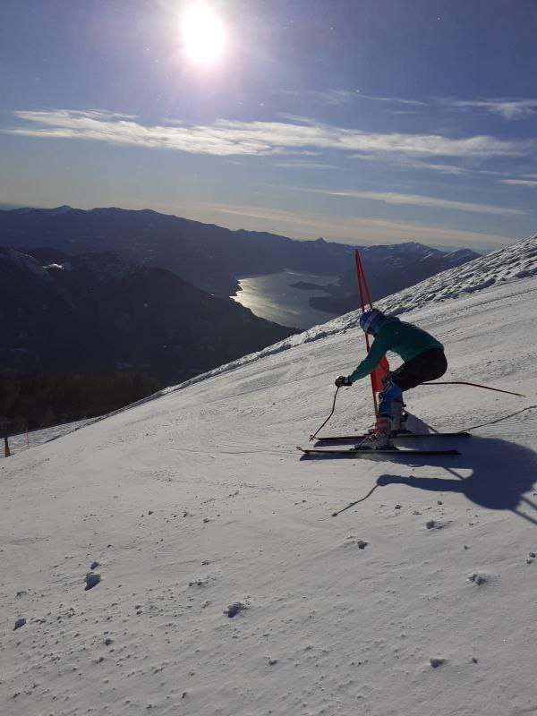 Alleamenti vista lago di Como all'Alpe Giumelo