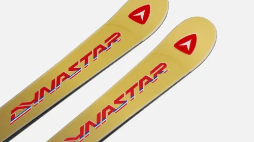 Dynastar speed omeglass master sl r22 gold edition 5