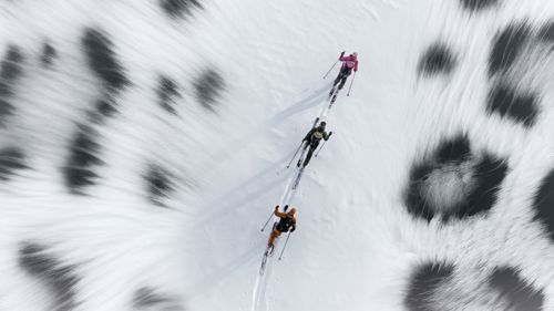 Ogni metro conta: lo Snow Leopard Day di Dynafit trasforma la fatica in speranza per il leopardo delle nevi