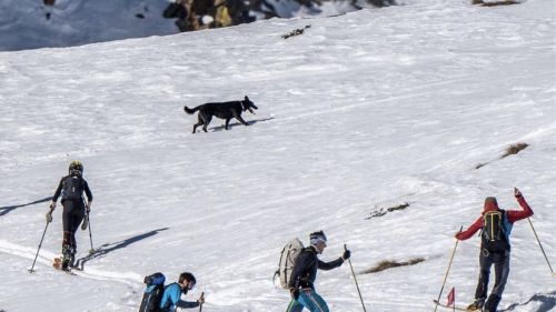 Skimo Festival, il primo evento di questo tipo dedicato allo Sci alpinismo, sbarca a Bormio e Santa Caterina