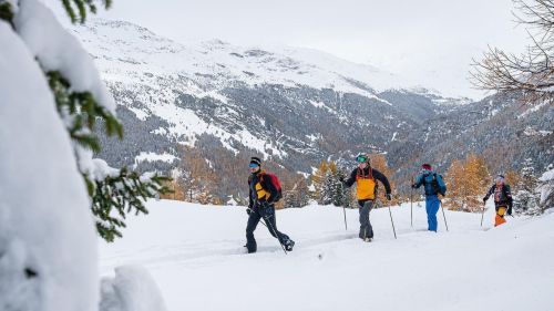 Scopri gli Stelvio Natural Skimo Trails per goderti i panorami dell'Alta Valtellina sugli sci