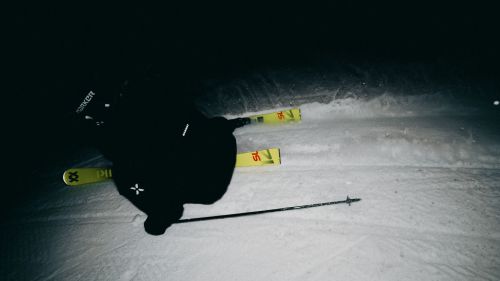 Voelkl 2526 racetiger sl ainapunsi bernadette lorenz 23