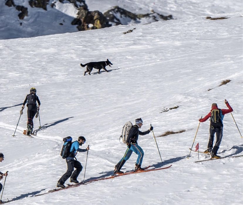 Skimo Festival. Il primo festival italiano dedicato allo Sci alpinismo sbarca a Bormio e a Santa Caterina