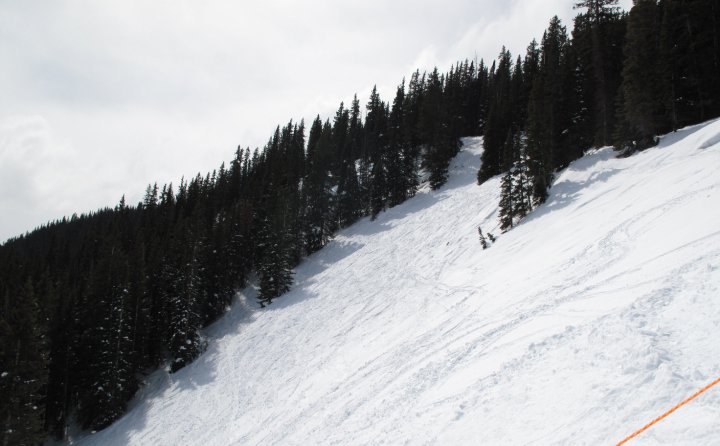 le piste sono per la maggior parte tra i boschi e gli alberi arrivano fino a 3600m.