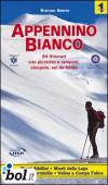 Appennino bianco. 1.84 itinerari con piccozza e ramponi, ciaspole, sci da fondo