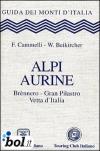 Alpi Aurine. Brennero, Gran Pilastro, Vetta d'Italia