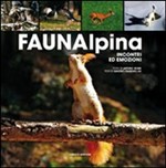 Fauna alpina