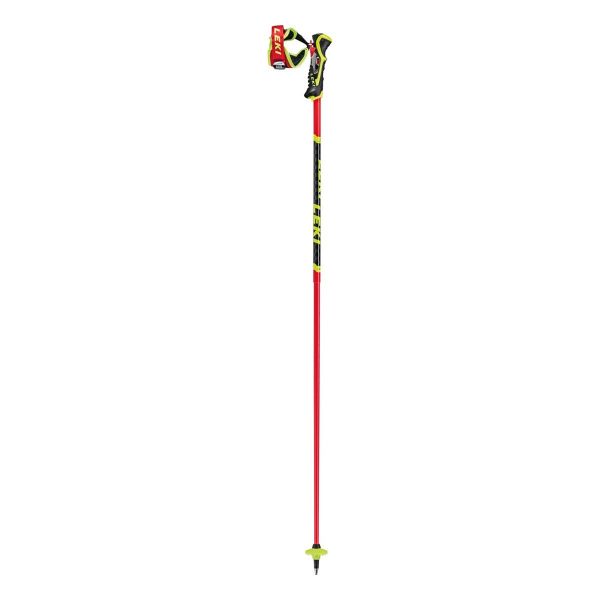 BOTTERO SKI LEKI
