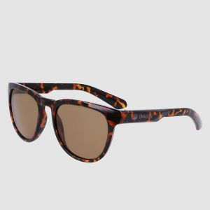 Prezzi Dragon kaj ll shiny tortoise sunglasses ll brown