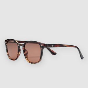 Prezzi Chpo alva sunglasses brown