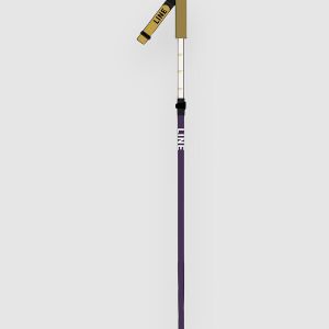 Prezzi Line paintbrush 2026 ski poles design