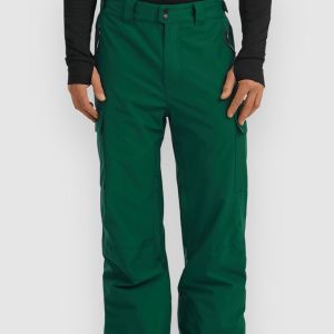Prezzi O'neill o\'neill fwc\'cruz cargo pants emerald envy