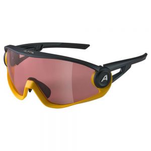 Prezzi Alpina snow 5w1ng q+cm mirror sunglasses nero quattroflex+silver mirror/cat3 hydrophobic