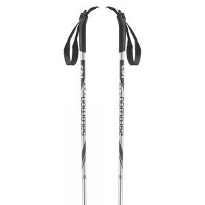 Prezzi Salomon alu poles argento 125 cm