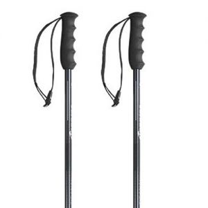 Prezzi Nordica bastoncini alpine ti