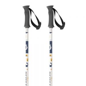 Prezzi Scott hero junior poles argento 100 cm