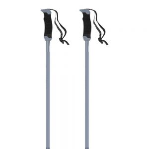 Prezzi Atomic amt sqs poles argento 110 cm