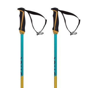 Prezzi Volkl bastoncini phantastick 18mm