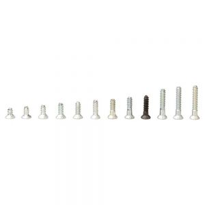 Prezzi Snoli ski binding screw 5.5 x 16 mm 100 units argento