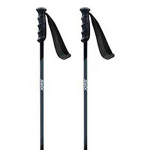 Prezzi Swix excalibur dark poles nero 120 cm