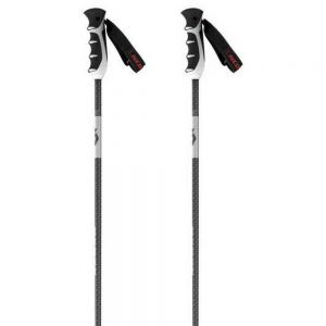 Prezzi Scott zeo 14 srs pole argento 110 cm