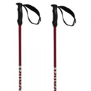 Prezzi Volkl rentastick alu poles grigio 125 cm