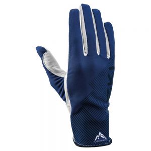 Prezzi Leki alpino guide premium gloves blu 10 uomo