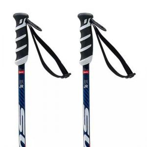 Prezzi Swix wc pro sg junior poles argento 95 cm