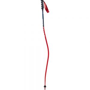 Prezzi Swix world cup pro dh carbon alpine poles rosso 125 cm